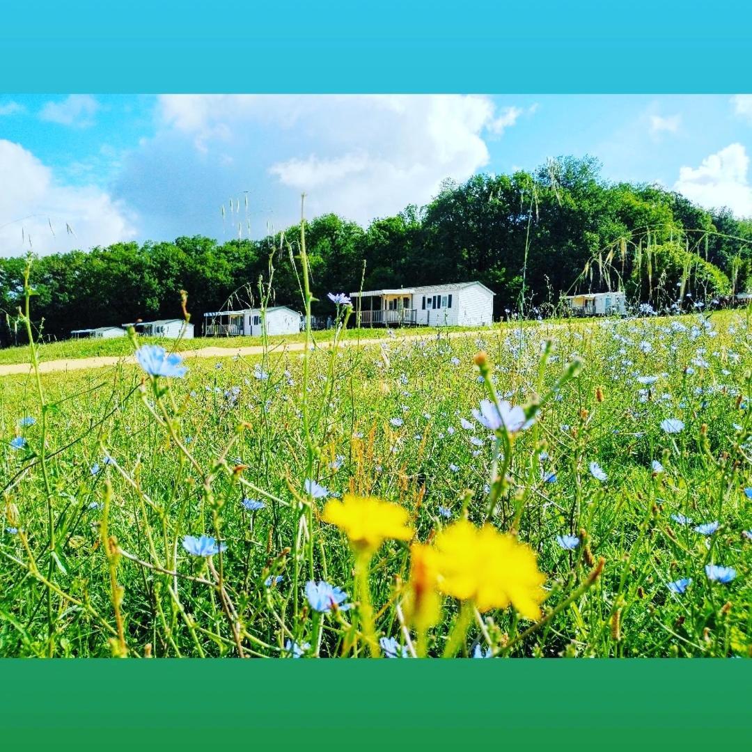 Camping Nature Le Valenty Mobil-Home-Dordogne Panoramique Clim Piscine Soturac 외부 사진