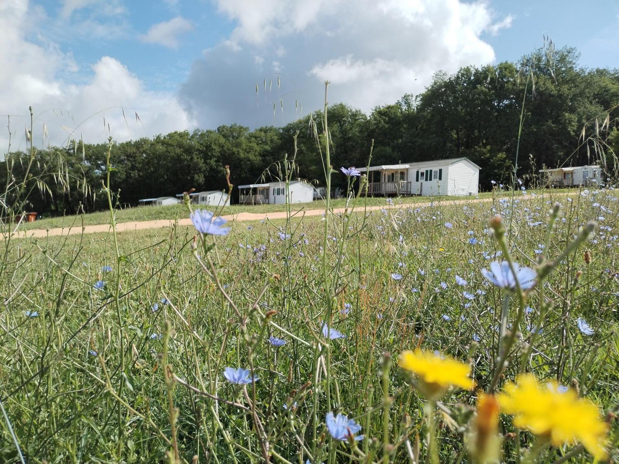 Camping Nature Le Valenty Mobil-Home-Dordogne Panoramique Clim Piscine Soturac 외부 사진