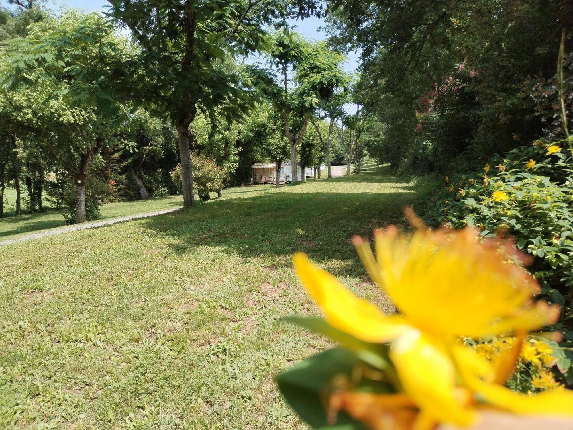 Camping Nature Le Valenty Mobil-Home-Dordogne Panoramique Clim Piscine Soturac 외부 사진