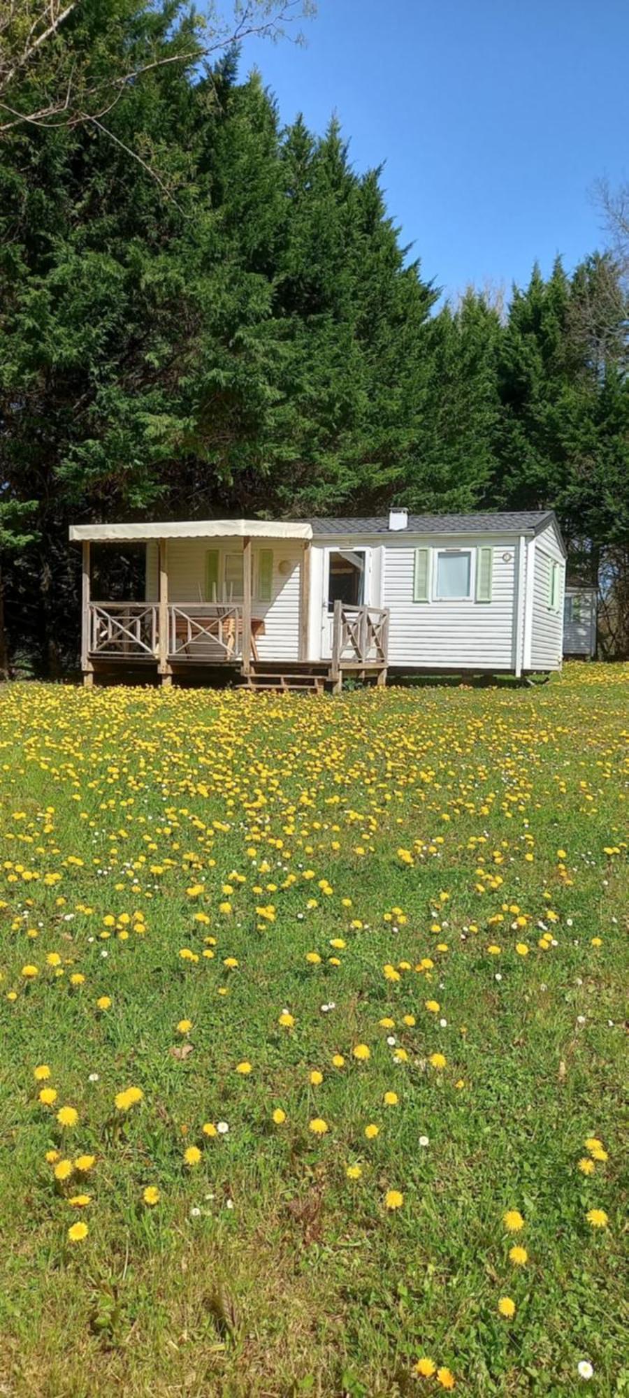 Camping Nature Le Valenty Mobil-Home-Dordogne Panoramique Clim Piscine Soturac 외부 사진